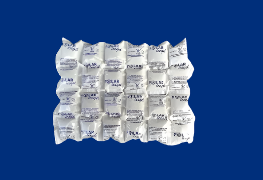 Eco Fast Ice Pack 24 cellette da 880 grammi.
